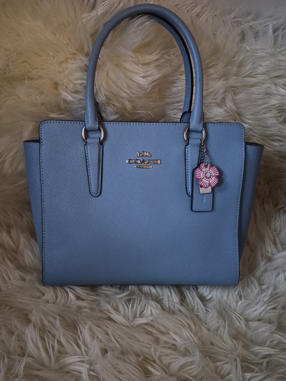 COACH LEAH CARRYALL